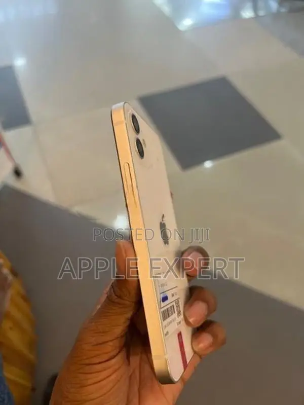 Apple iPhone 12 (Used)
