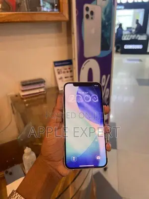 Apple iPhone 12 (Used)