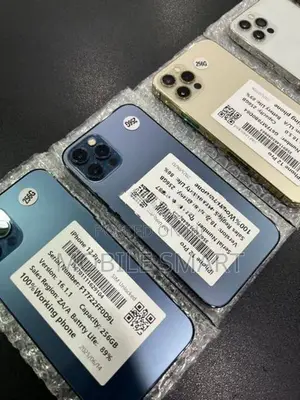 Apple iPhone 12 Pro 256GB (Used)