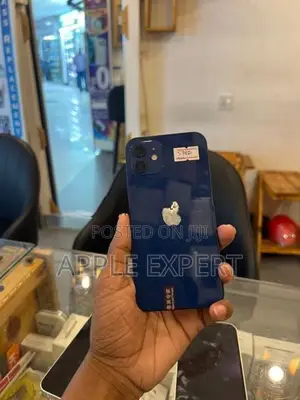 Apple iPhone 12 (Used)