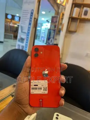Apple iPhone 12 (Used)