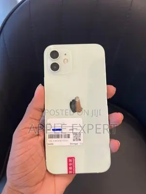 Apple iPhone 12 (Used)