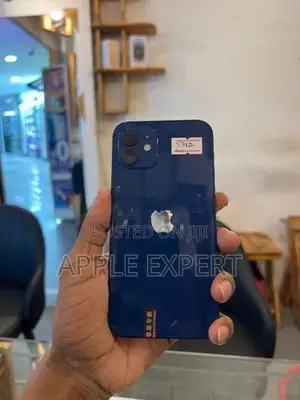 Apple iPhone 12 (Used)