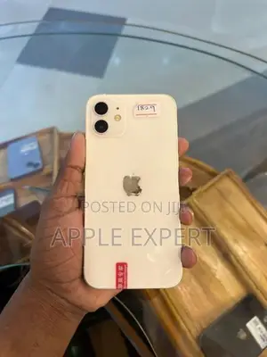 Apple iPhone 12 (Used)