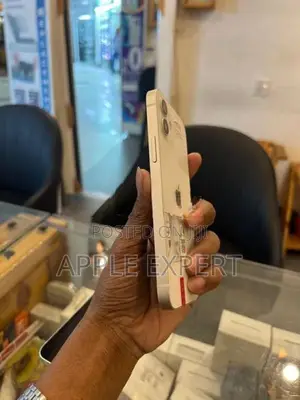 Apple iPhone 12 (Used)