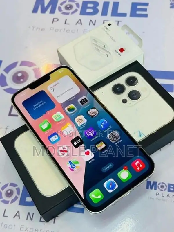 Apple iPhone 13 Pro Max 256GB (Used)
