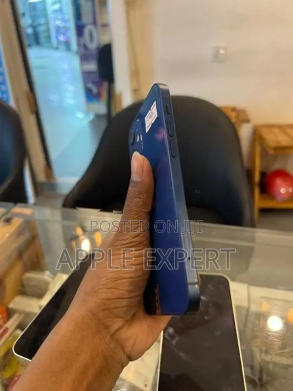 Apple iPhone 12 (Used)