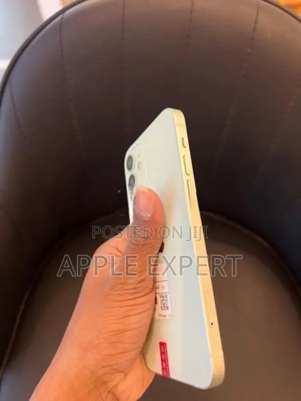 Apple iPhone 12 (Used)