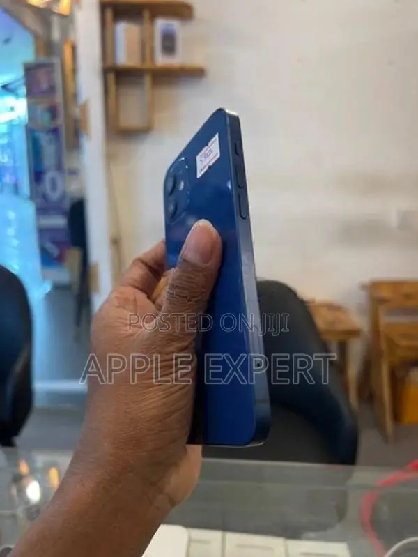 Apple iPhone 12 (Used)