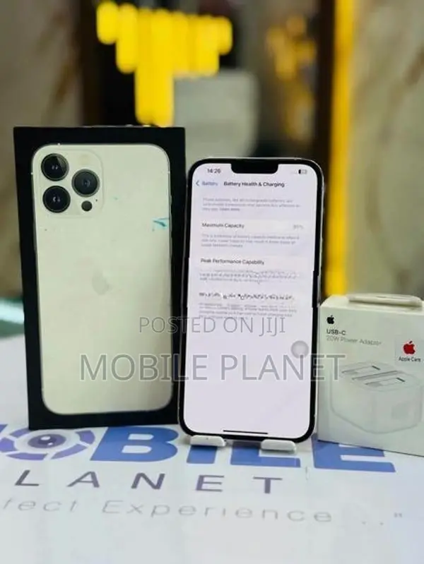 Apple iPhone 13 Pro Max 256GB (Used)
