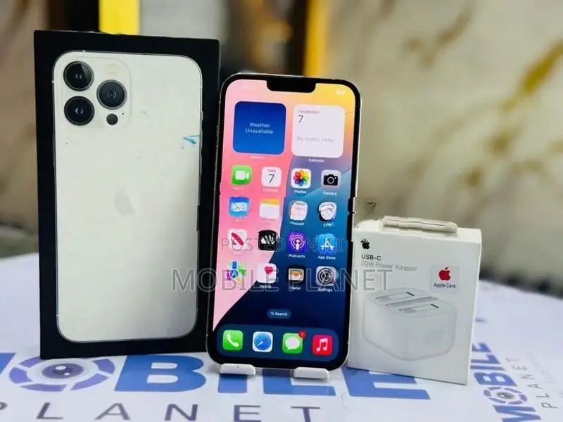 Apple iPhone 13 Pro Max 256GB (Used)
