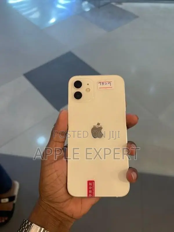 Apple iPhone 12 (Used)