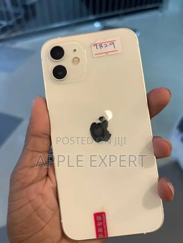 Apple iPhone 12 (Used)