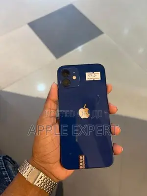 Apple iPhone 12 (Used)