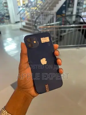 Apple iPhone 12 (Used)