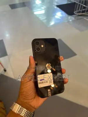 Apple iPhone 12 (Used)