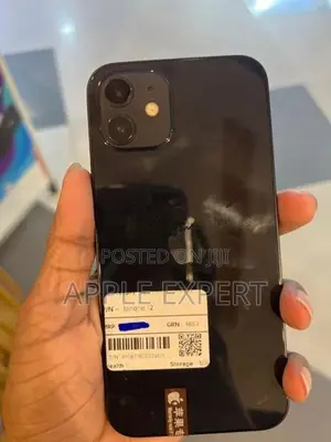 Apple iPhone 12 (Used)