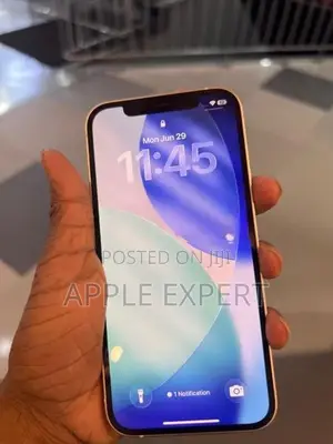 Apple iPhone 12 (Used)