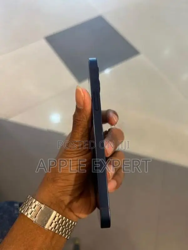 Apple iPhone 12 (Used)