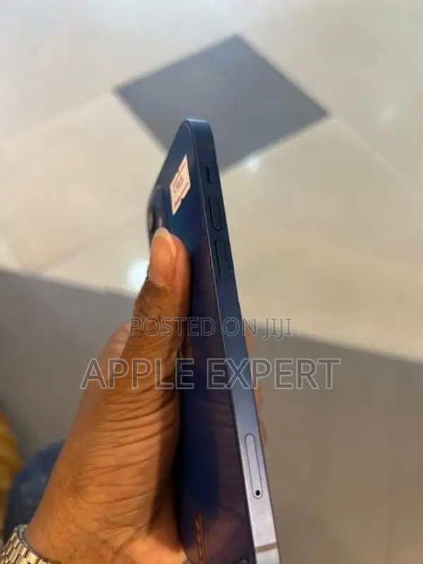 Apple iPhone 12 (Used)