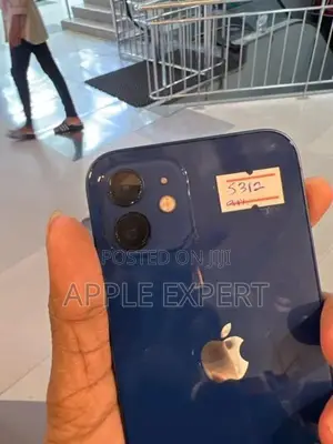 Apple iPhone 12 (Used)