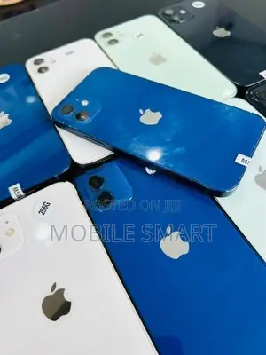 Apple iPhone 12 256GB (Used)
