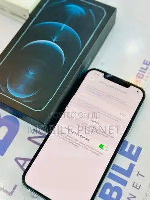 Apple iPhone 12 Pro Max 5G 256GB (Used)