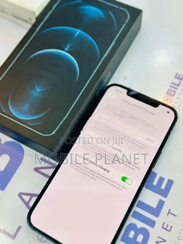 Apple iPhone 12 Pro Max 5G 256GB (Used)