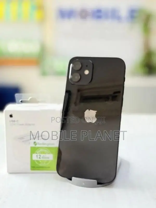 Apple iPhone 12 256GB (Used)