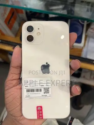 Apple iPhone 12 (Used)