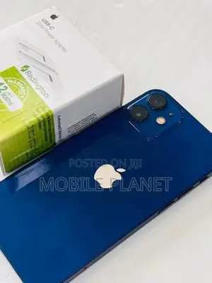 Apple iPhone 12 5G 256GB (Used)