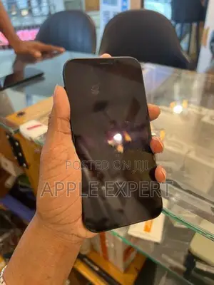 Apple iPhone 12 (Used)
