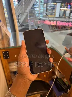 Apple iPhone 12 (Used)