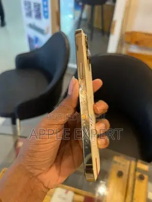 Apple iPhone 14 Pro Max pm (Used)