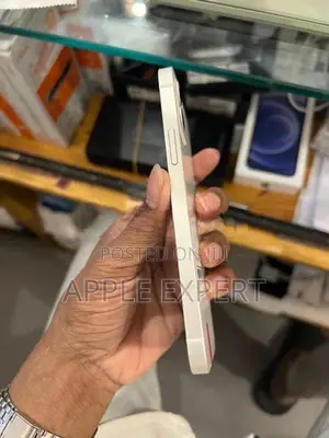 Apple iPhone 12 (Used)