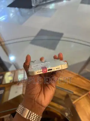 Apple iPhone 12 (Used)