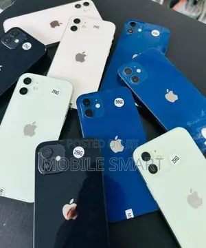 Apple iPhone 12 256GB (Used)
