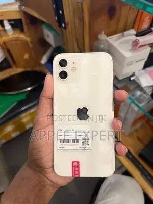 Apple iPhone 12 (Used)