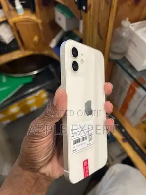 Apple iPhone 12 (Used)