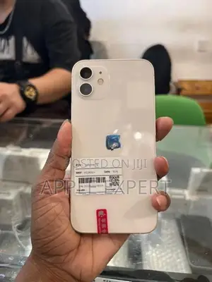 Apple iPhone 12 (Used)