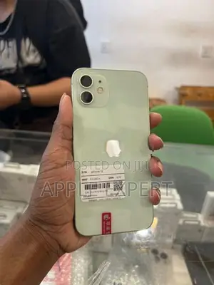 Apple iPhone 12 (Used)