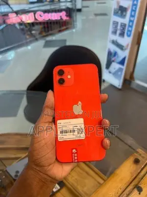 Apple iPhone 12 (Used)