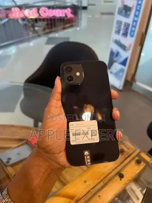 Apple iPhone 12 (Used)