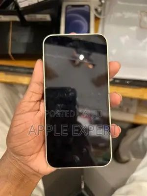Apple iPhone 12 (Used)