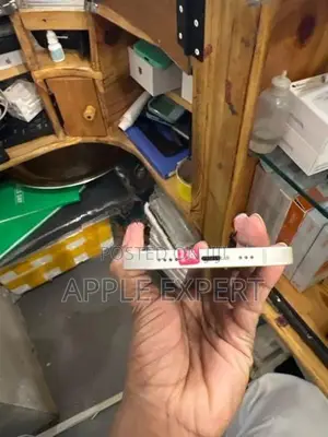 Apple iPhone 12 (Used)