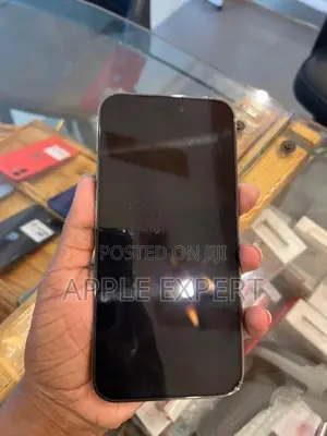 Apple iPhone 14 Pro Max (Used)
