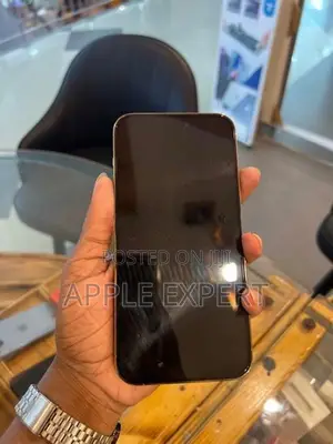 Apple iPhone 14 Pro Max pm (Used)