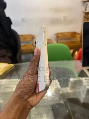 Apple iPhone 12 (Used)