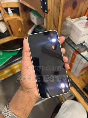 Apple iPhone 12 (Used)