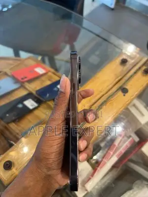 Apple iPhone 14 Pro Max (Used)